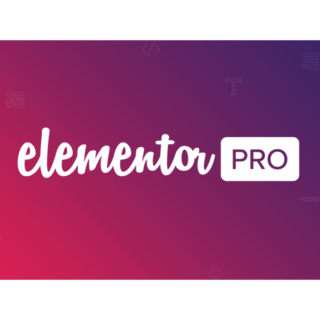 Elementor Pro