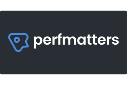 Perfmatters – Lightweight WordPress Performance Plugin