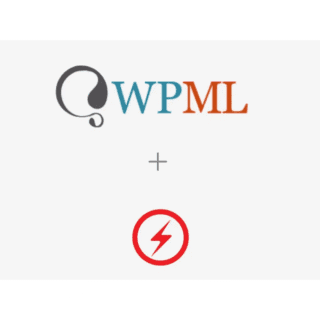 WPML For AMP
