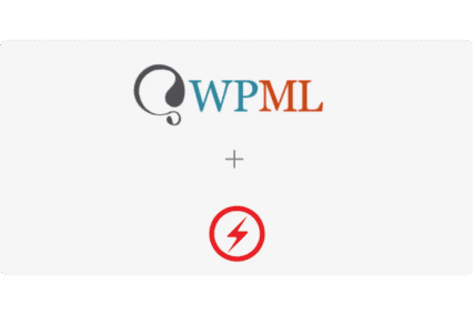 WPML For AMP